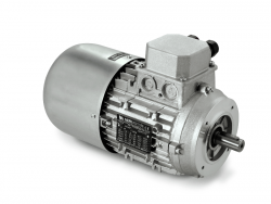 Электродвигатели Neri Motori двухскоростные трёхфазные асинхронные серии DP